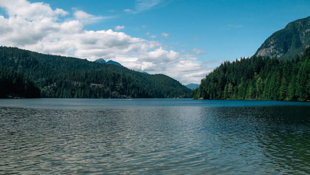 Slideshow image
